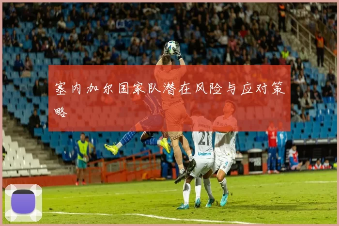 塞内加尔国家队潜在风险与应对策略