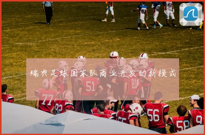 瑞典足球国家队商业开发的新模式