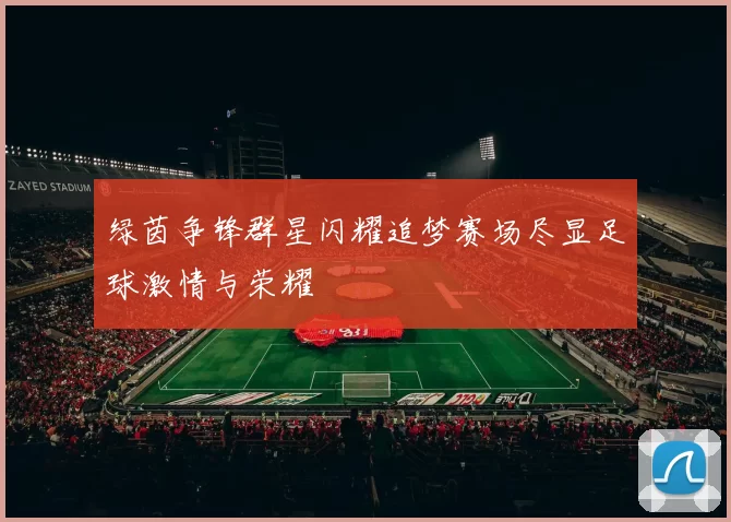 绿茵争锋群星闪耀追梦赛场尽显足球激情与荣耀