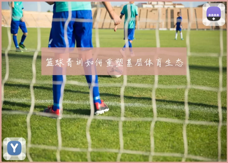 篮球青训如何重塑基层体育生态