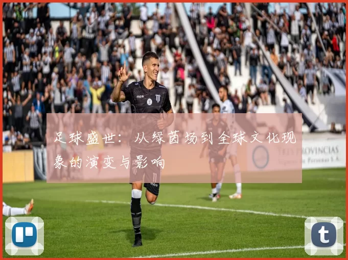 足球盛世：从绿茵场到全球文化现象的演变与影响