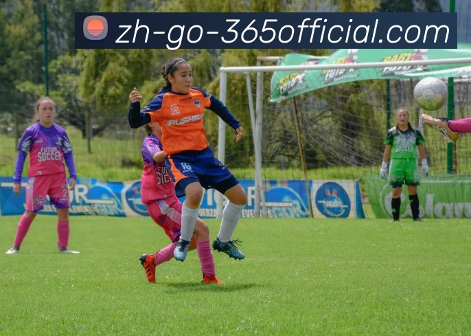 beat365网站发展历程